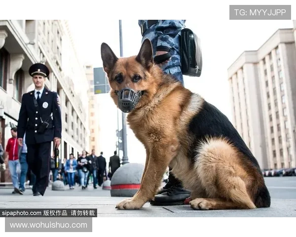 米利克肌肉伤势无碍将顺利复出
